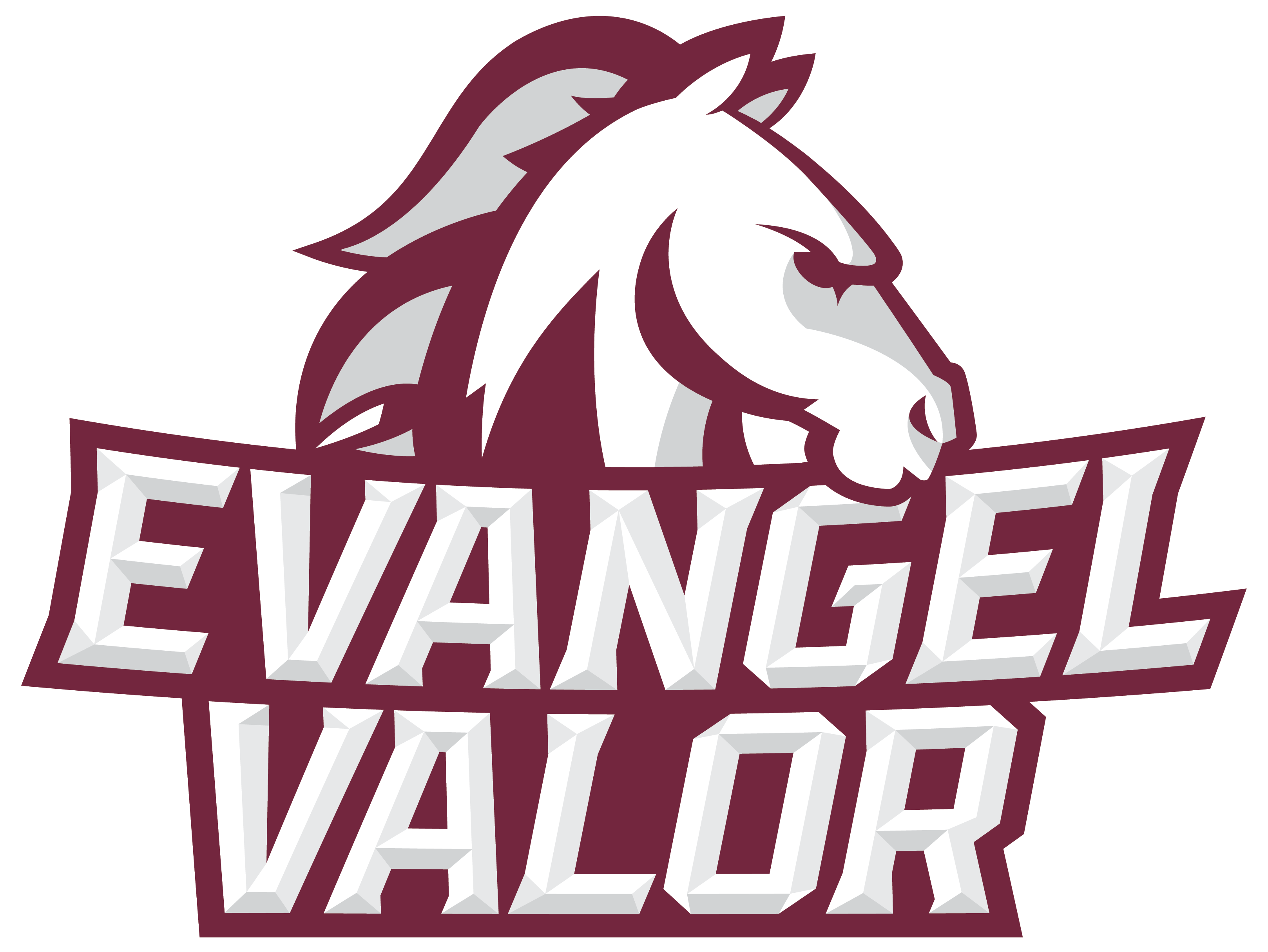 Team Logo
